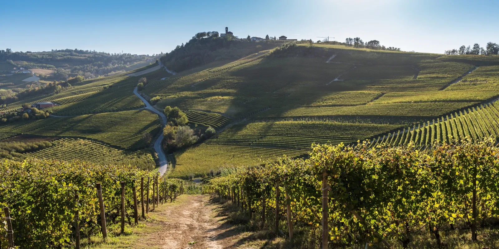 verduno paesaggio